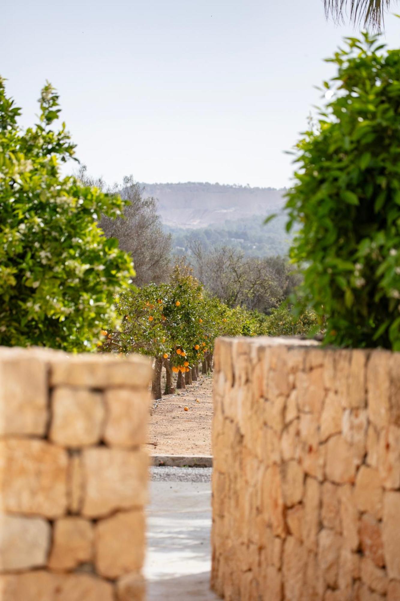 Can Jaume Private Villas By Ocean Drive Puig D'en Valls Exterior foto