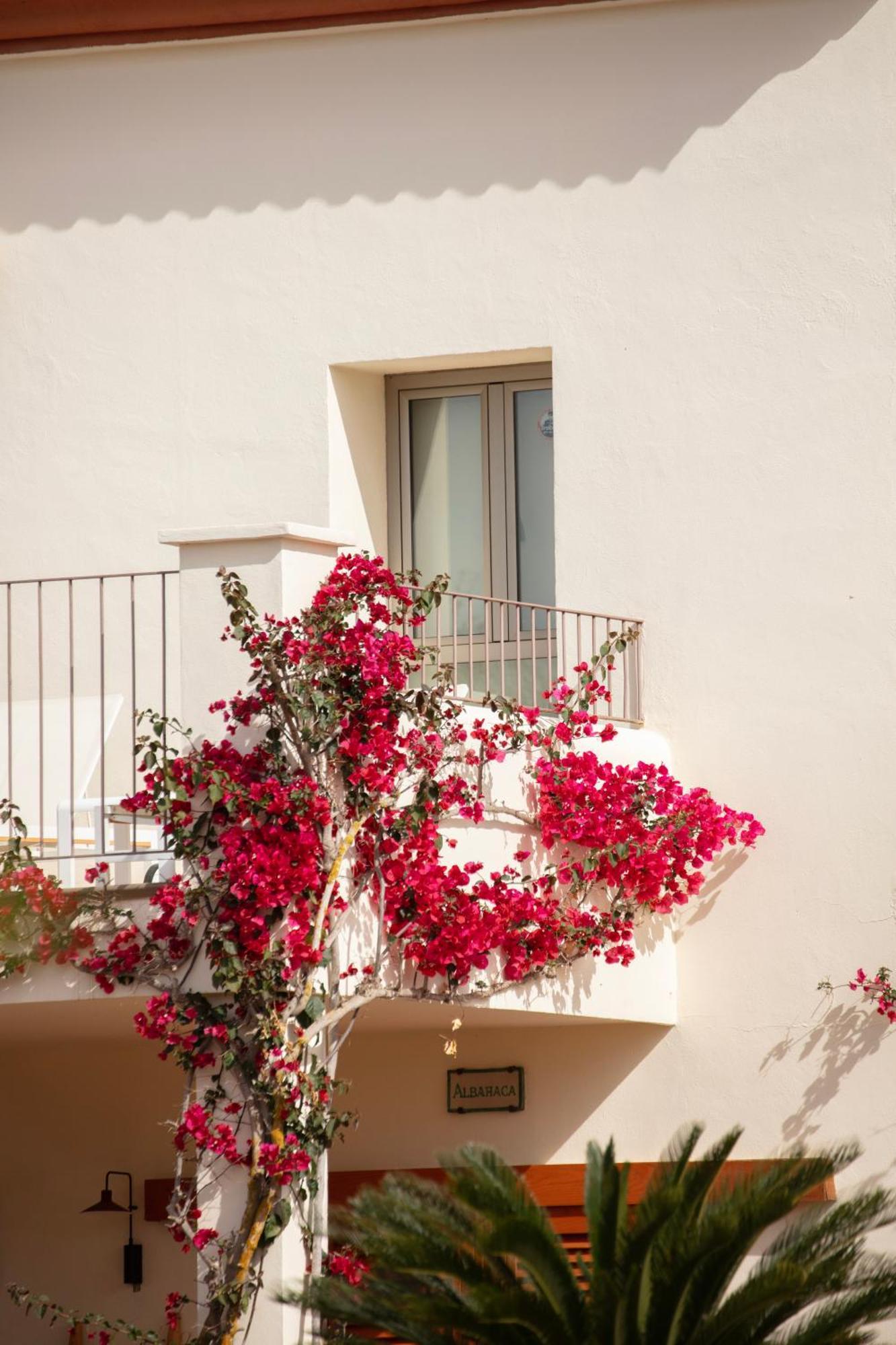 Can Jaume Private Villas By Ocean Drive Puig D'en Valls Exterior foto
