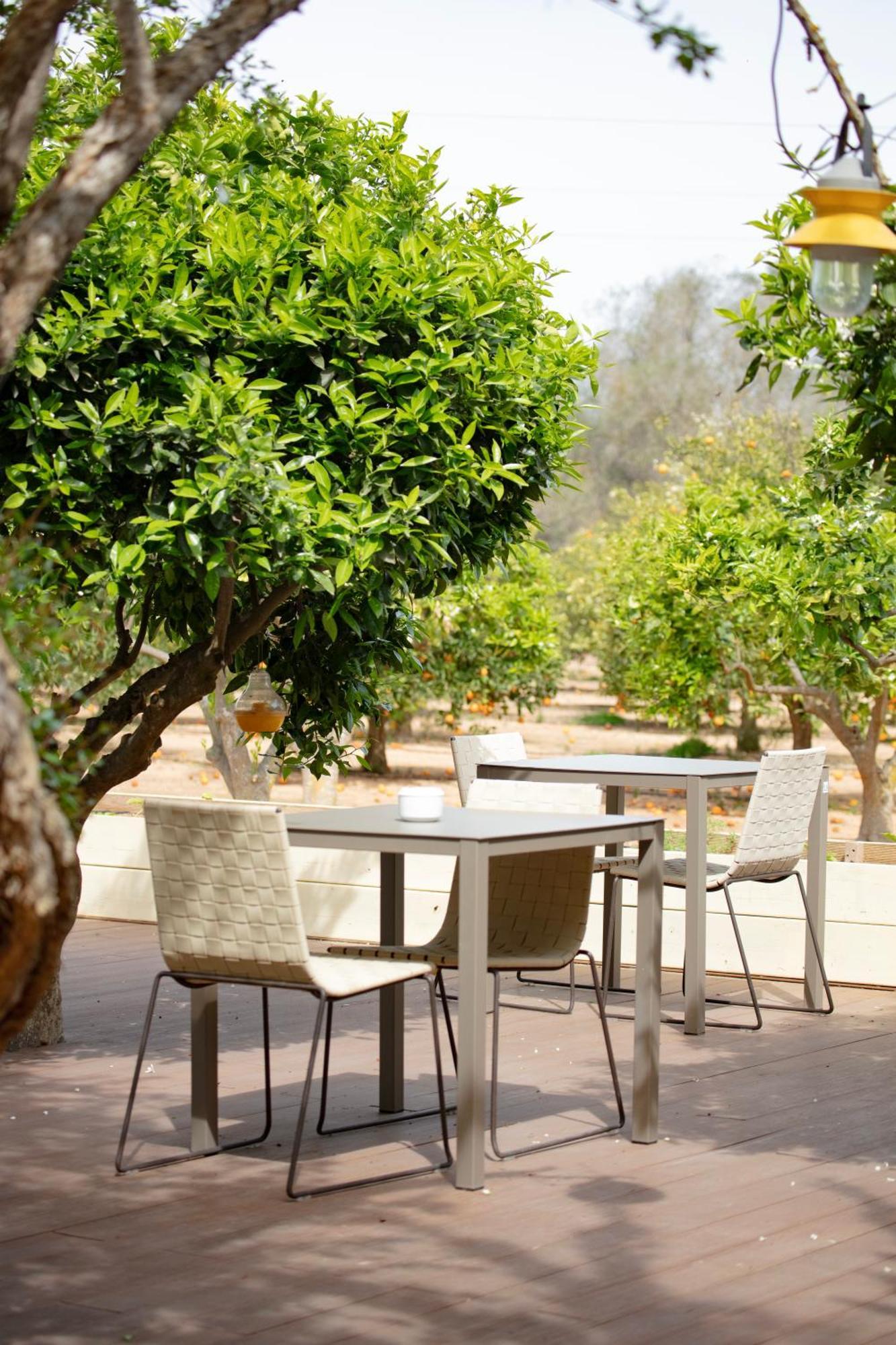 Can Jaume Private Villas By Ocean Drive Puig D'en Valls Exterior foto